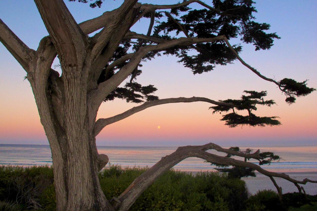 Sea View Inn - Carmel 外观 照片