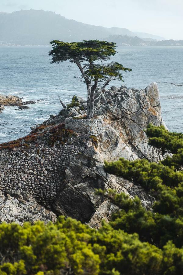 Sea View Inn - Carmel 外观 照片